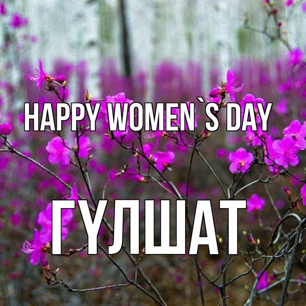 Greetings card с именем, ГҮЛШАТ happy women`s day дикие цветы Greetings with text for free download 